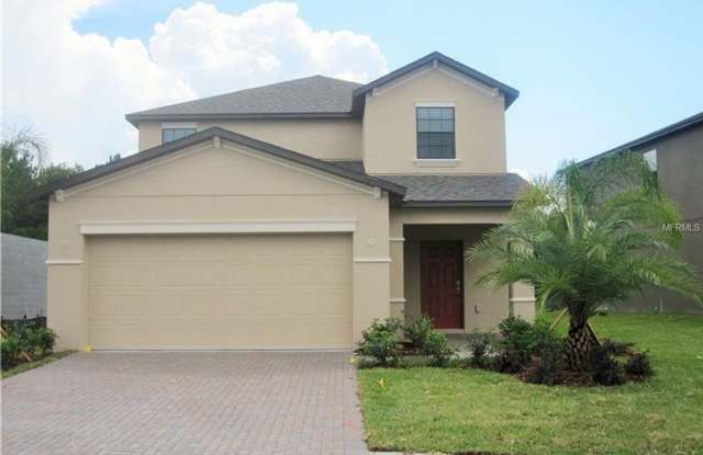 Beautiful home located in the gated community of Live Oak - 19910 Satin Leaf Avenue, Hillsborough County, FL 33647