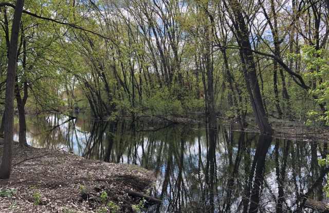 Whispering Pond Apartments Gallery 3