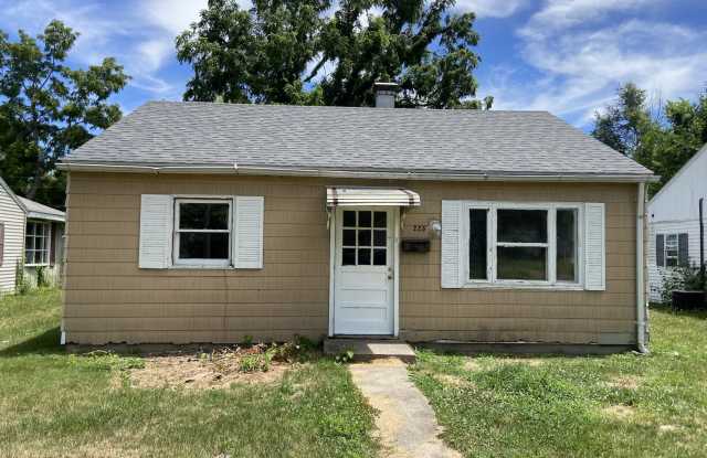 225 Grace St - 225 Grace Street, Danville, IL 61832