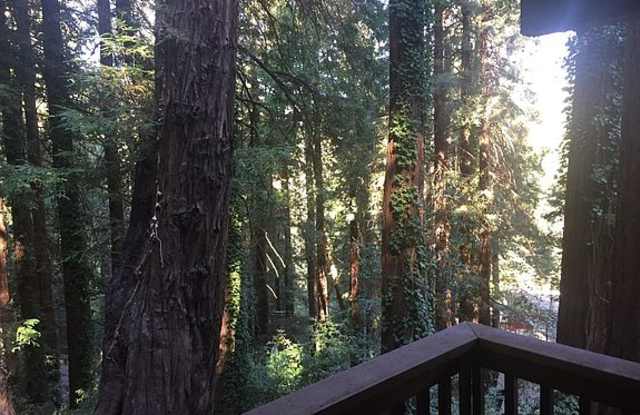 100 Wildomar Street photos photos 100 Wildomar Street photos photos