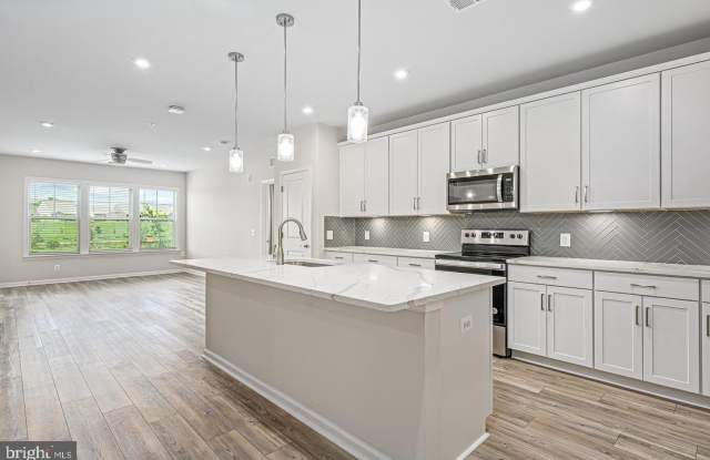 21894 HAWKSBILL HIGH Circle Gallery 3