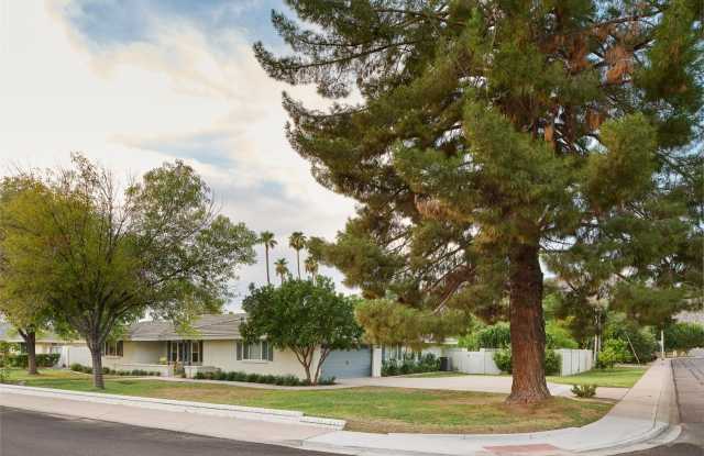 5952 E Calle Tuberia Gallery 4