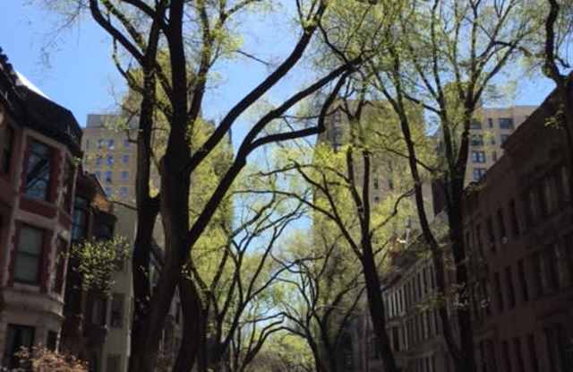 31 West 95th Street photos photos