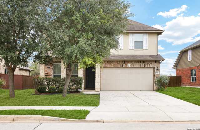 11708 Northern star photos photos