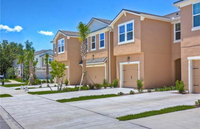 6233 SCARLET DARTER WAY - 6233 Scarlet Darter Way, Northdale, FL 33625