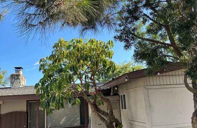 Ranch style 3BR/2BA pet friendly home w/ large yards, solar, updated kitchen and fruit trees Gallery 3