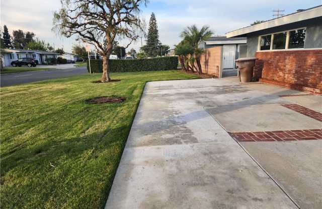 9731 Joyzelle #B photos photos