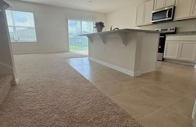 915 PRINCESS SABAL POINT photos photos