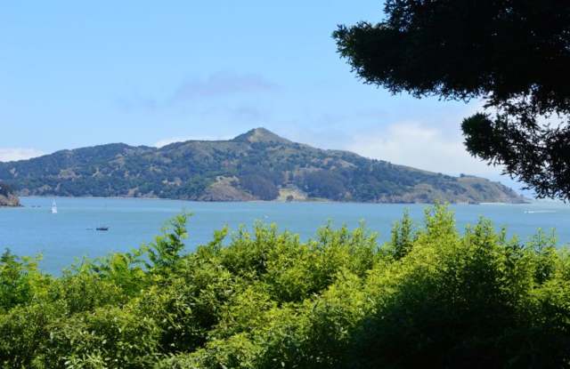 The Historic Tank House | Panoramic Bay & SF Skyline Views Gallery 3