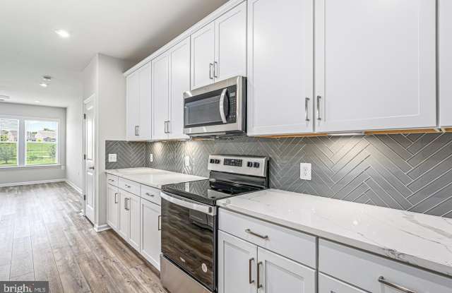 21894 HAWKSBILL HIGH Circle Gallery 1