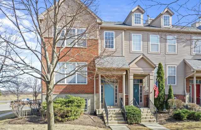 61 Thomas Court - 61 Thomas Court, Grayslake, IL 60030