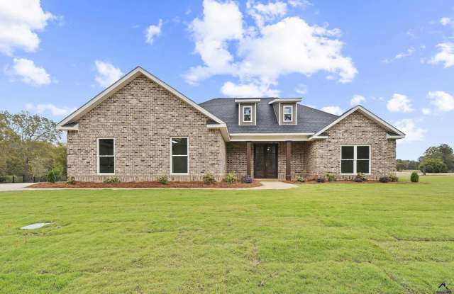 168 Camden Way - 168 Camden Way, Hawkinsville, GA 31036