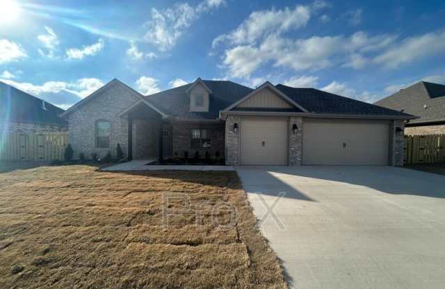 2401 Salmon photos photos