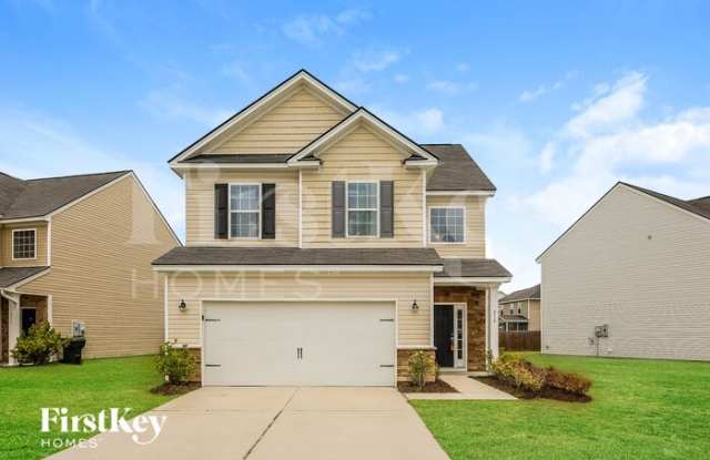 210 Firewheel Court - 210 Firewheel Court, Berkeley County, SC 29486