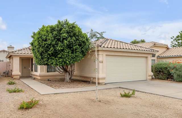 Gilbert Rental photos photos