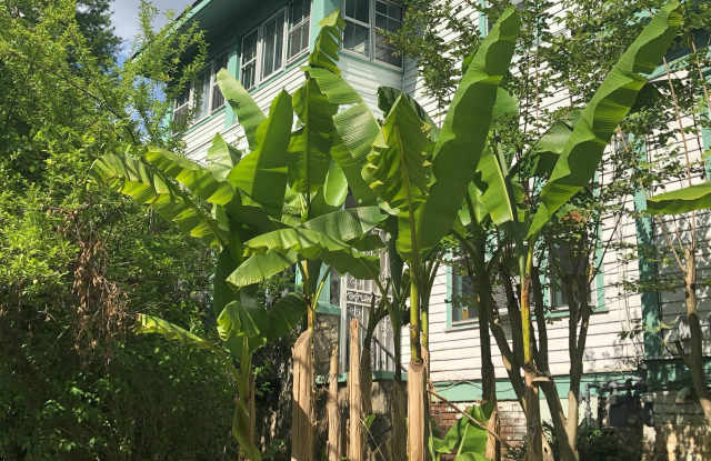 841 Vedado Way Northeast photos photos