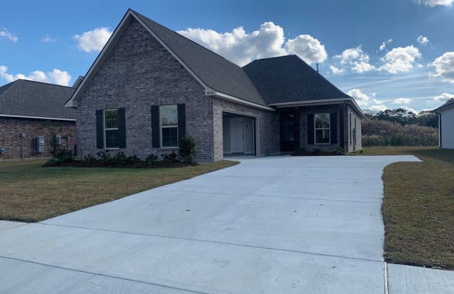 9986 Ashby Lane - 9986 Ashby Ln, Livingston County, LA 70726
