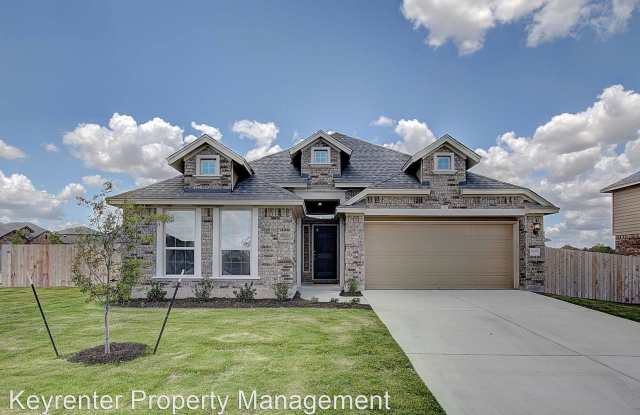 20300 Hidden Gully Lane - 20300 Hidden Gully Cove, Pflugerville, TX 78660