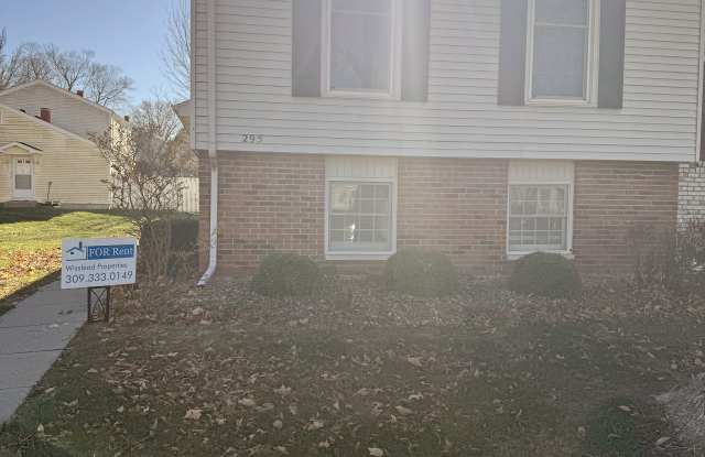 295 Jamestown Road - 295 Jamestown Road, McDonough County, IL 61455