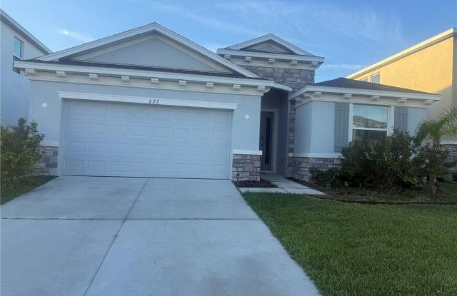 222 MANGROVE MANOR DRIVE - 222 Mangrove Manor Drive, Apollo Beach, FL 33572