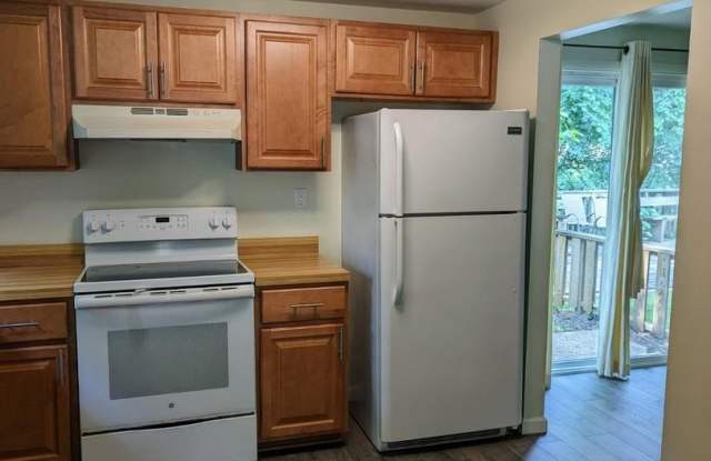 1317 OLD PINE CT Gallery 4