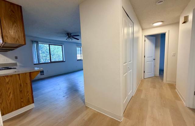 Olive Trees Apartments Gallery 4