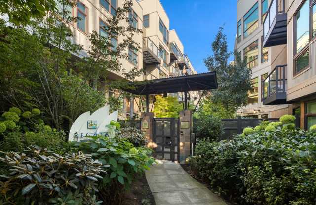 Beautiful Studio Condo by Gasworks Park Gallery 1