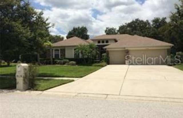 19128 LARCHMONT DRIVE - 19128 Larchmont Drive, Keystone, FL 33556