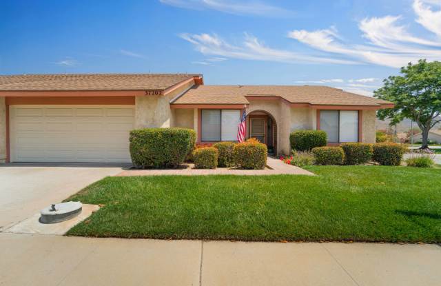 37202 Village 37 photos photos