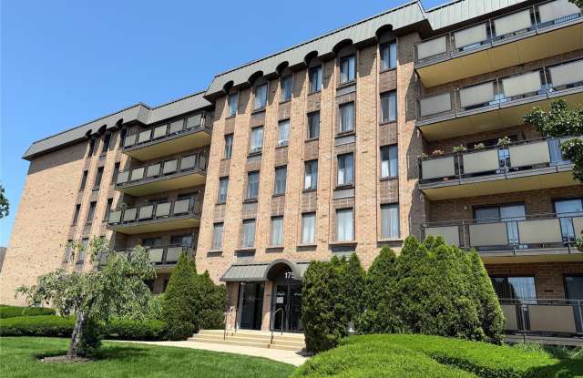 175 Maple Avenue photos photos