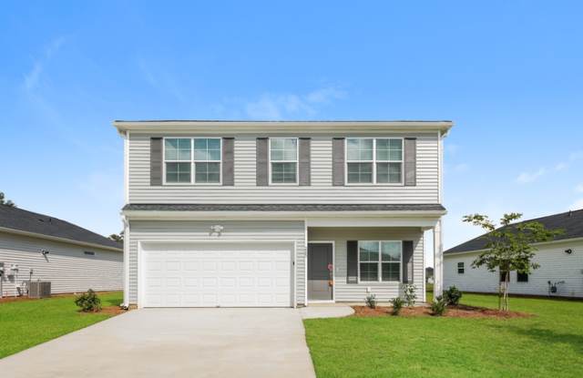 265 Clydesdale Circle - 265 Clydesdale Circle, Berkeley County, SC 29486