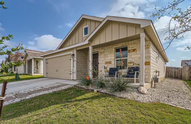 2915 Whinchat photos photos