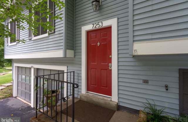7253 LINDEN TREE LANE Gallery 2