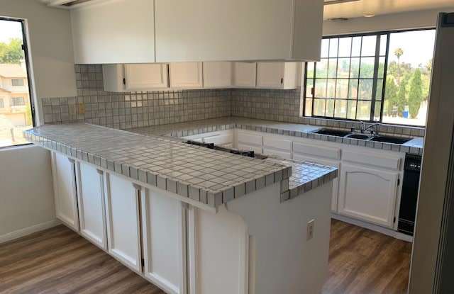 183 Las Flores Drive - B Gallery 3