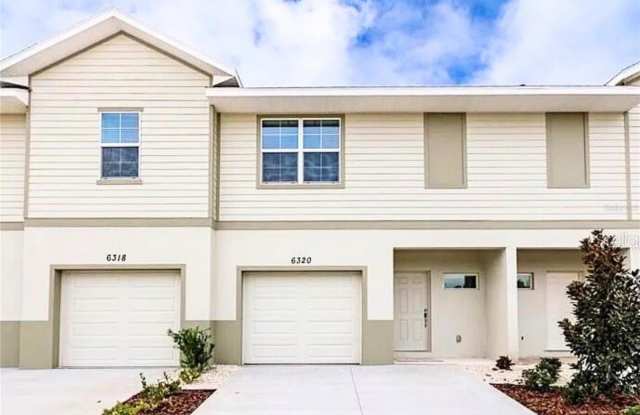 6320 TILLANDSIA PI photos photos