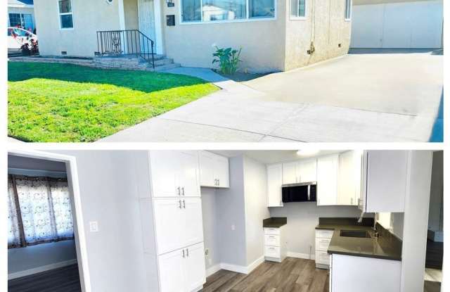 9448 Rendalia photos photos