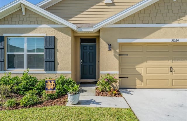 31024 SUMMER SUN LOOP - 31024 Summer Sun Loop, Wesley Chapel, FL 33545