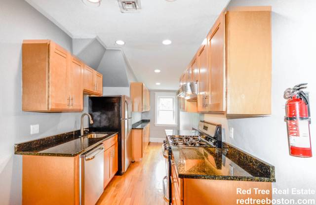 231 Chestnut Hill Ave - 231 Chestnut Hill Avenue, Boston, MA 02135