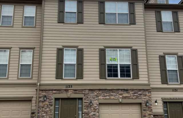 1125 Autumn Star Point - 1125 Autumn Star Point, Woodmoor, CO 80132 1125 Autumn Star Point - 1125 Autumn Star Point, Woodmoor, CO 80132