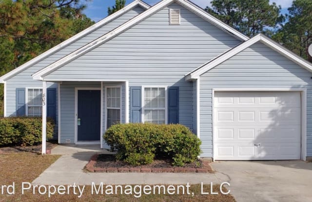 803 Sandpine Road - 803 Sandpine Road, Richland County, SC 29229
