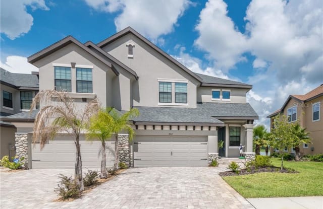 4867 WANDERING WAY - 4867 Wandering Way, Wesley Chapel, FL 33544