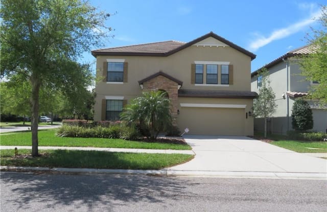 8209 DUNHAM STATION DRIVE - 8209 Dunham Station Drive, Tampa, FL 33647
