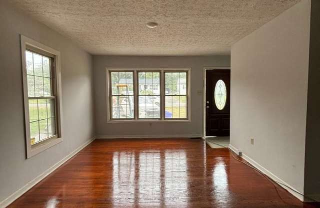 1733 Holly - So Cute! photos photos