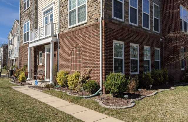 25503 AMBER GATE TERRACE photos photos