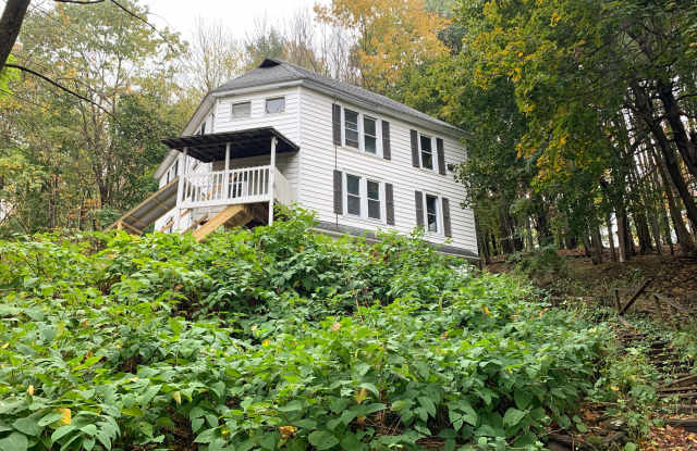 107 Elm Street - 107 Elm Street, Oneonta, NY 13820