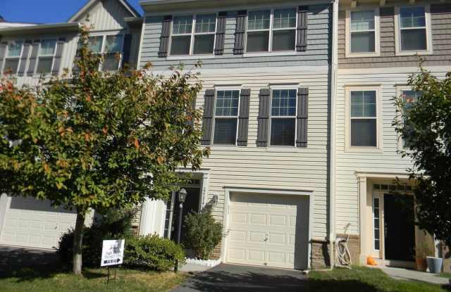 22174 BREITLING TERRACE - 22174 Breitling Terrace, Broadlands, VA 20148