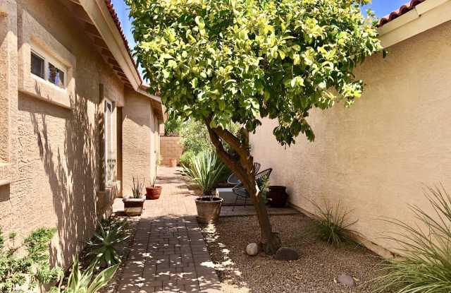 8828 E RIVIERA Drive Gallery 3