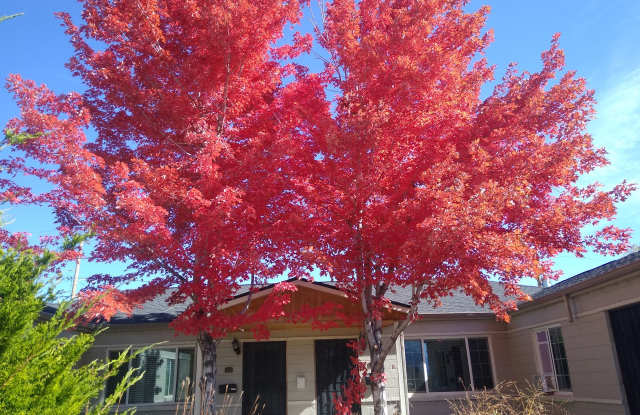Mountain View 2 Bedroom 1 Bath Duplex on a Hill Gallery 3