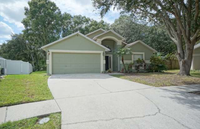 10909 Brucehaven Dr - 10909 Brucehaven Drive, Riverview, FL 33578