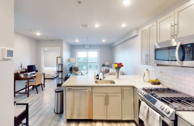 LUXURY 1BEDROOM IN SOUTH BOSTON - ROOFDECK, ELEVATOR, LAUNDRY IN UNIT - MODERN photos photos
